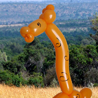 giraffe balloon