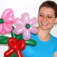 balloon flowers